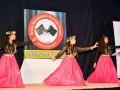 BBBF 2014 LUTON 666-36 (Small)